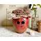 This is a fall apple decoration. It is a real gourd with a happy face  carved into it. This gourd is named Mac and  measures 7 x 8.5 inches.